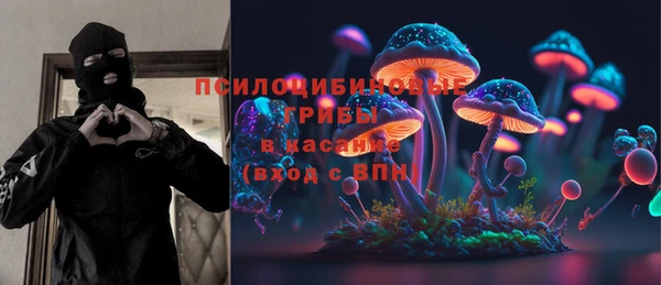 гидра Армянск