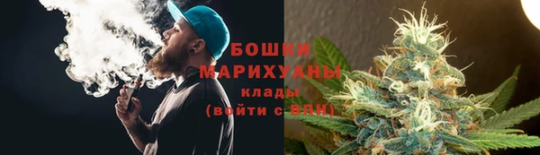 гидра Армянск