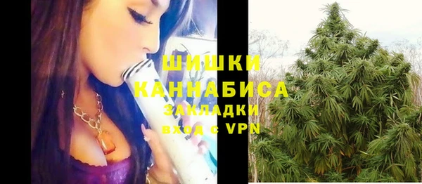 экстази Арсеньев