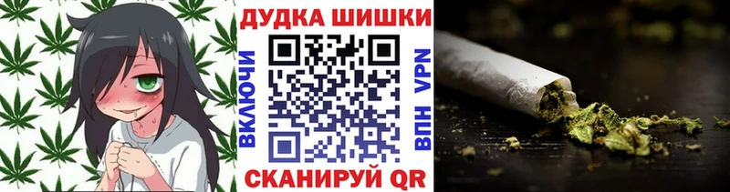 Купить закладки  Мончегорск  Конопля SATIVA & INDICA 